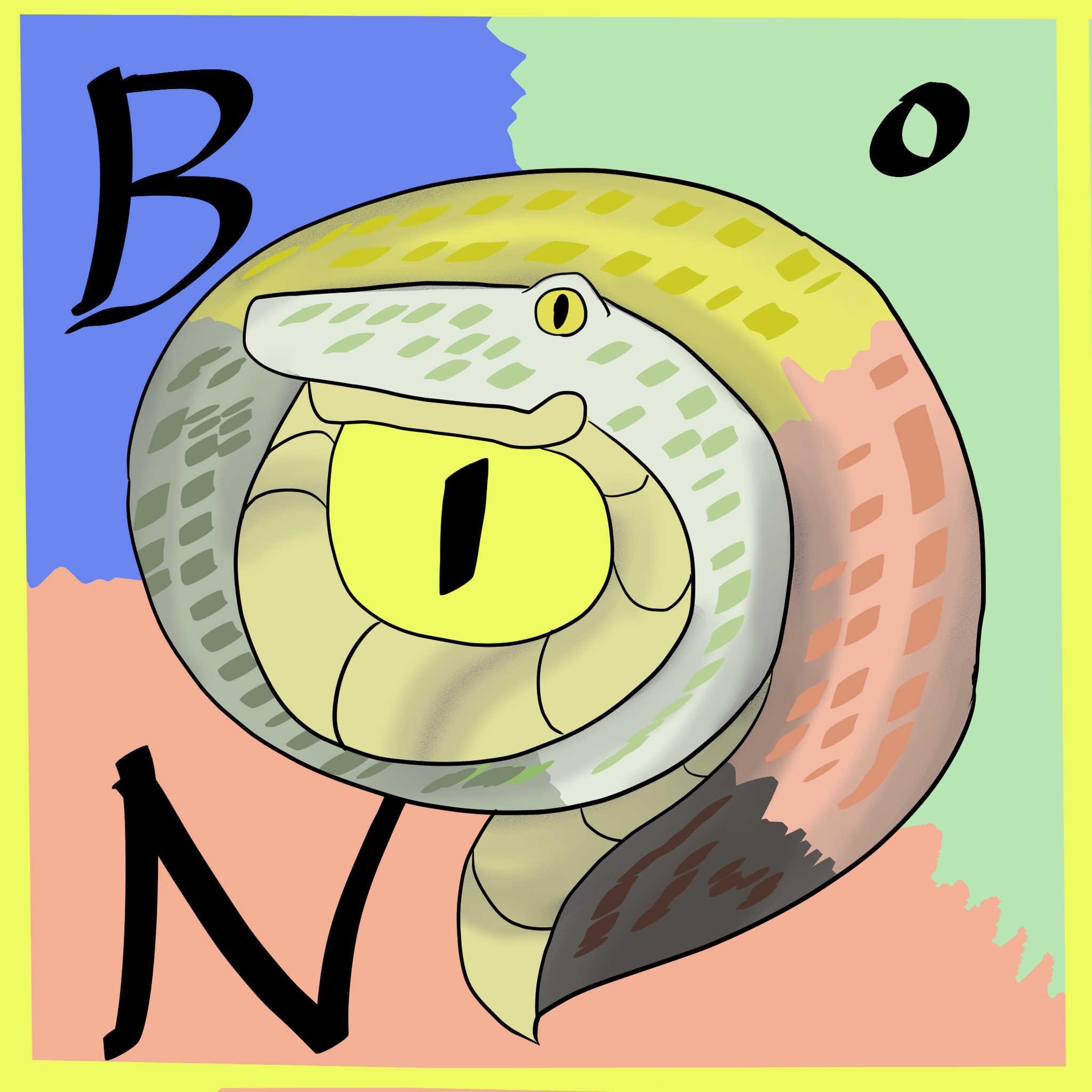 BoN